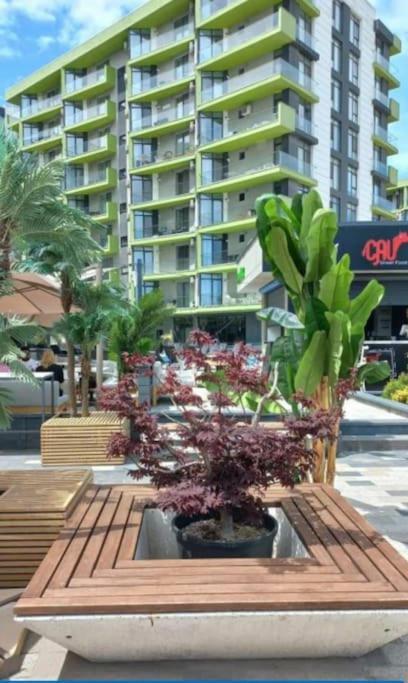 Alezzy Beach Apartament Prima Linie La Mare Năvodari Kültér fotó